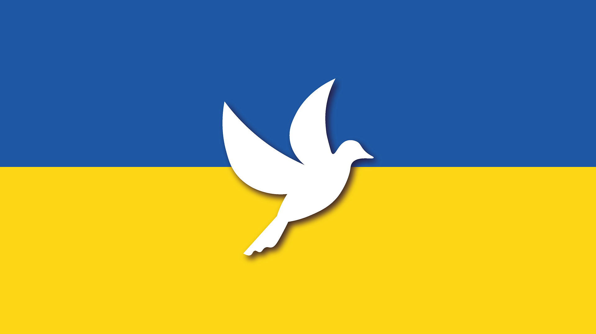 ukraine-g406239803_1920 (c) Bild von Pixabay